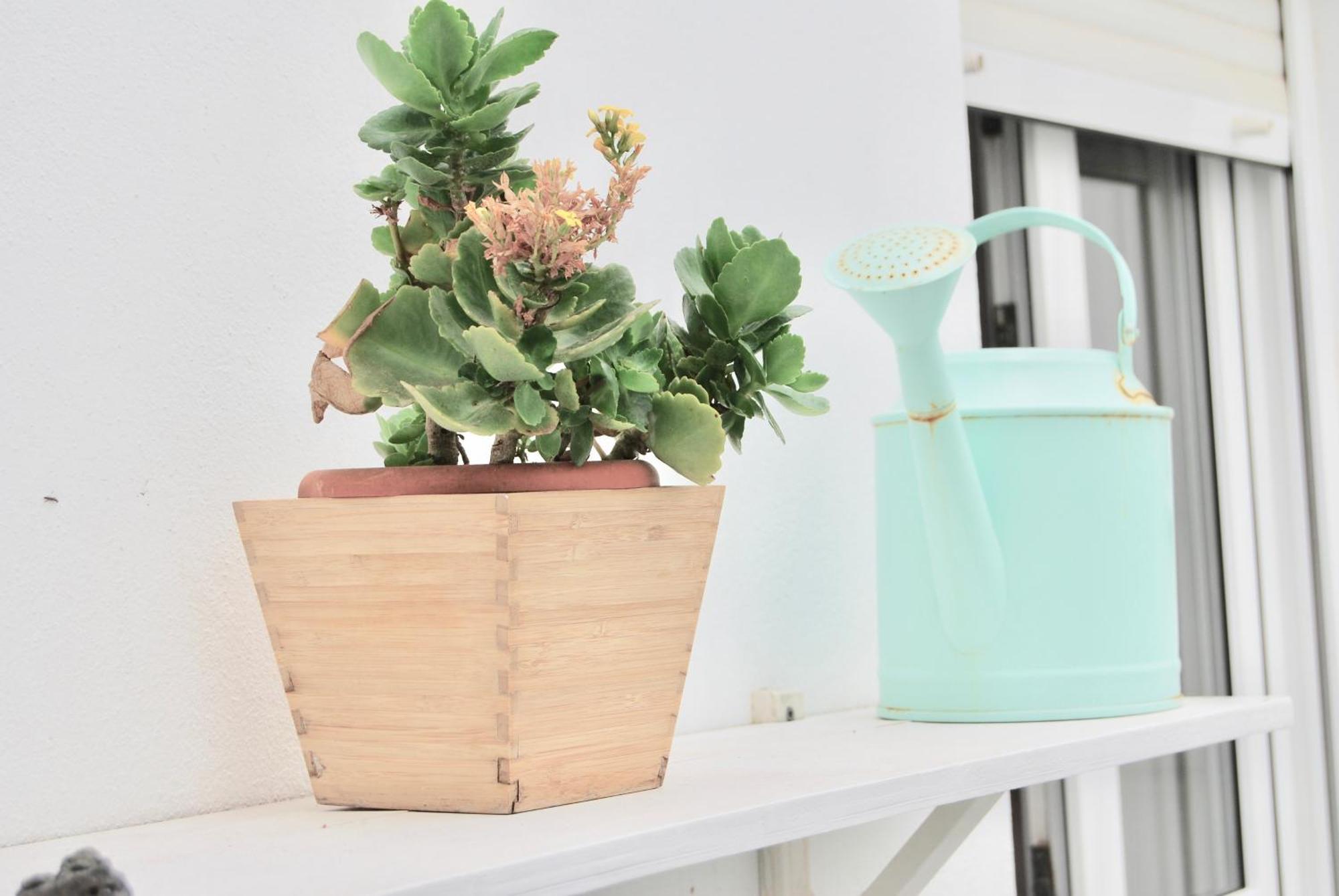 Casa Yerida Apartment El Cotillo  Ngoại thất bức ảnh